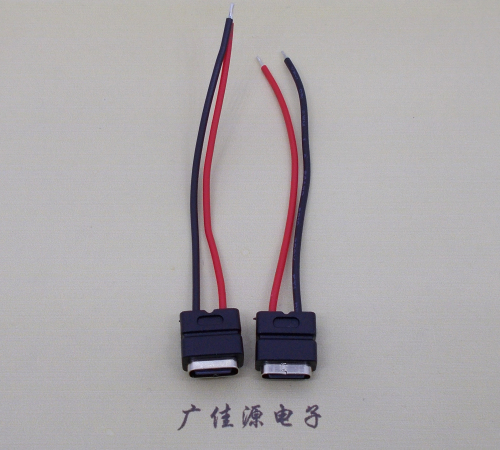 济源type c2p防水母座焊线式带线注塑成型带接线端子/不带接线端子充电连接器